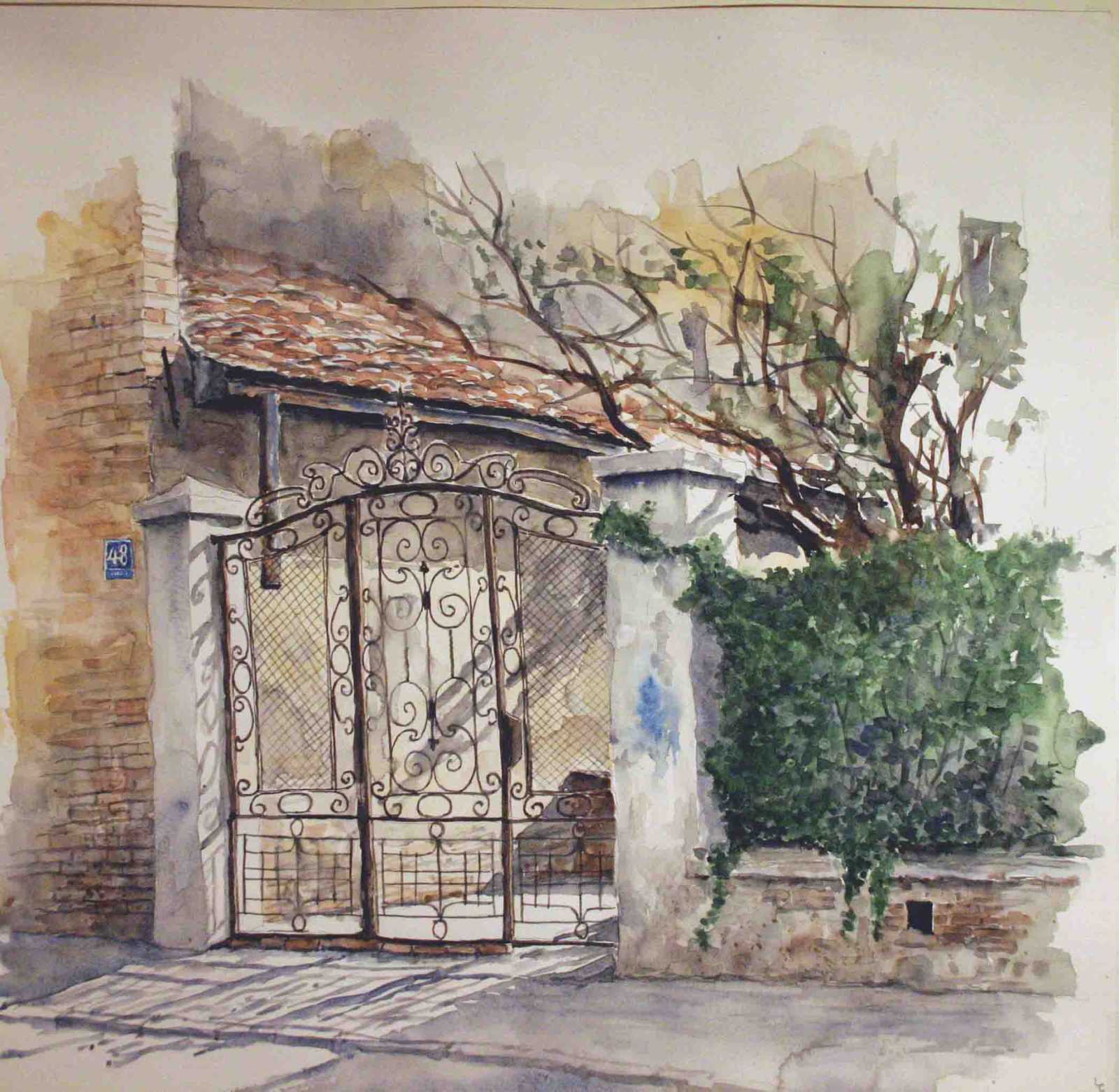 viber_image_2024-08-11_20-56-33-648